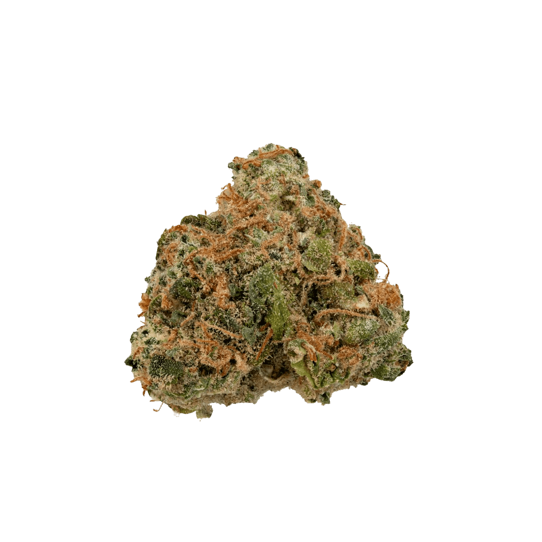 AAA+ dried flower