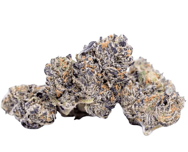 Hybrid dried flower